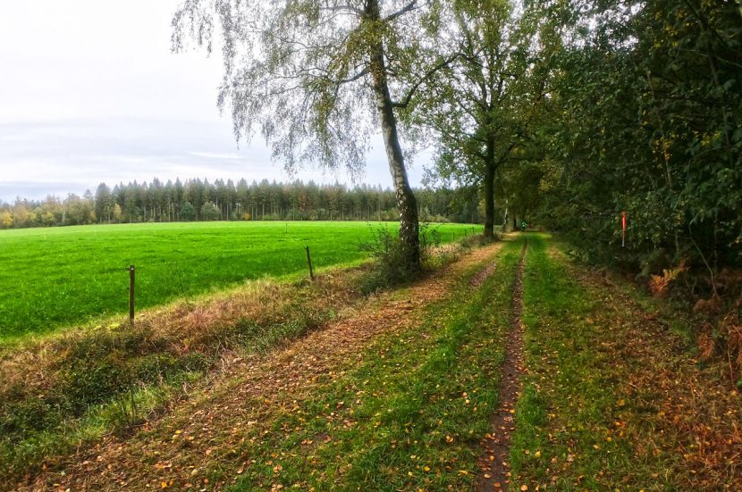 Ultra running in Nederland