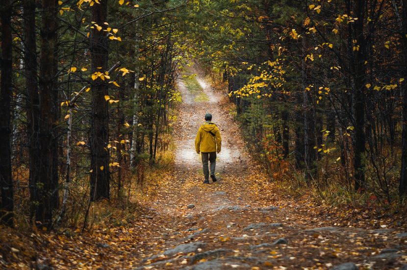 Gezonde levensstijl door met wandelen afvallen
