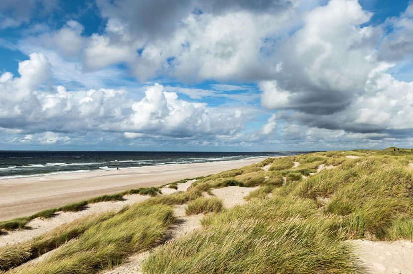 Alles over de Coast Marathon van Bearsports