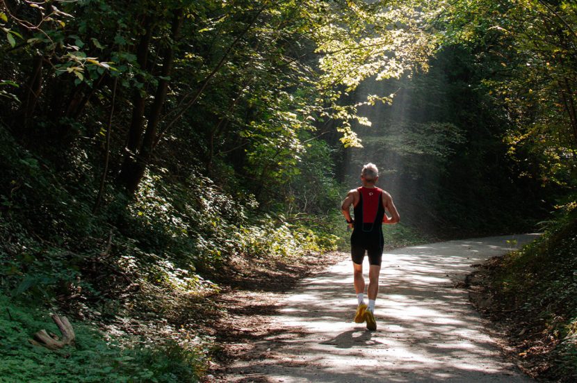 Alles over de Dutch Mountain Trail