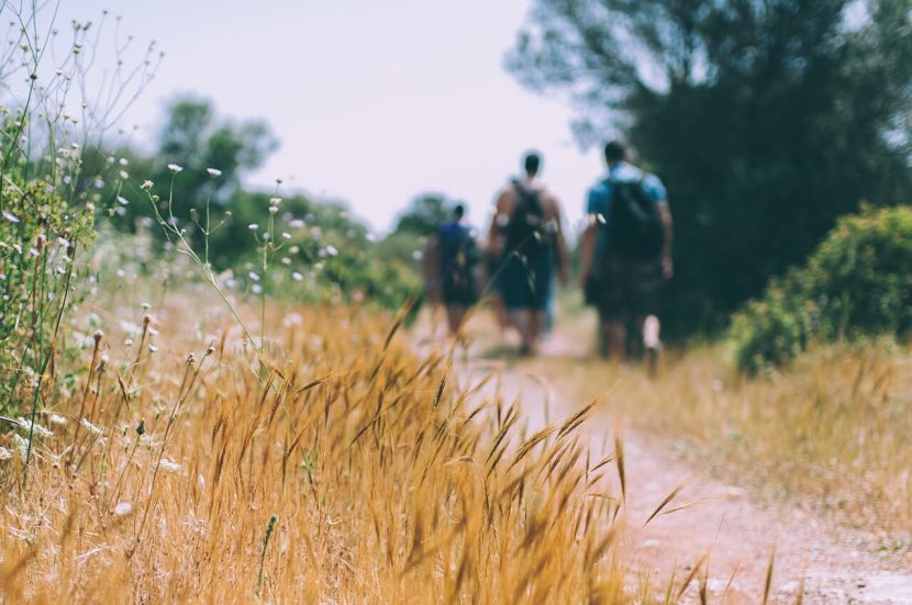 Het belang van een goede wandelhouding