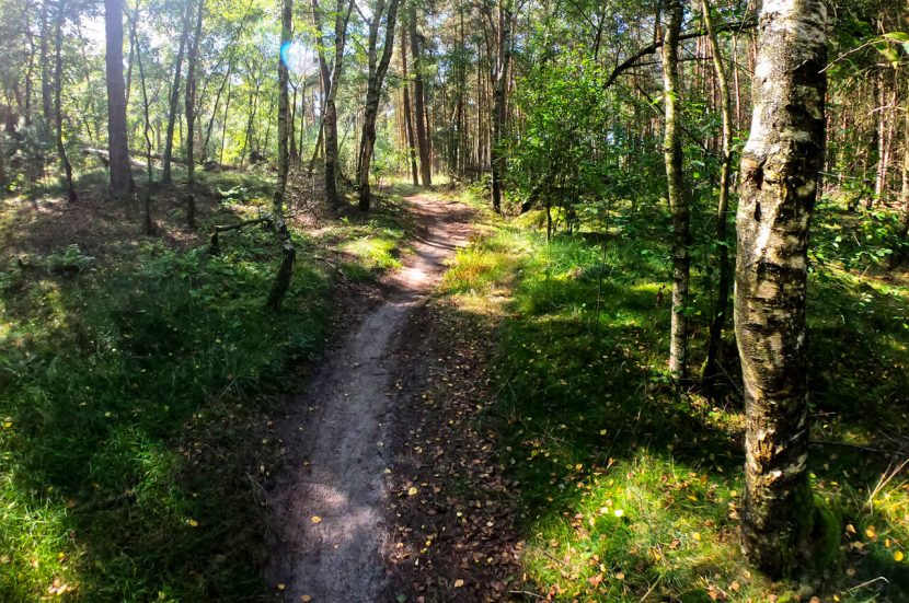 hardlooproutes in de buurt vinden