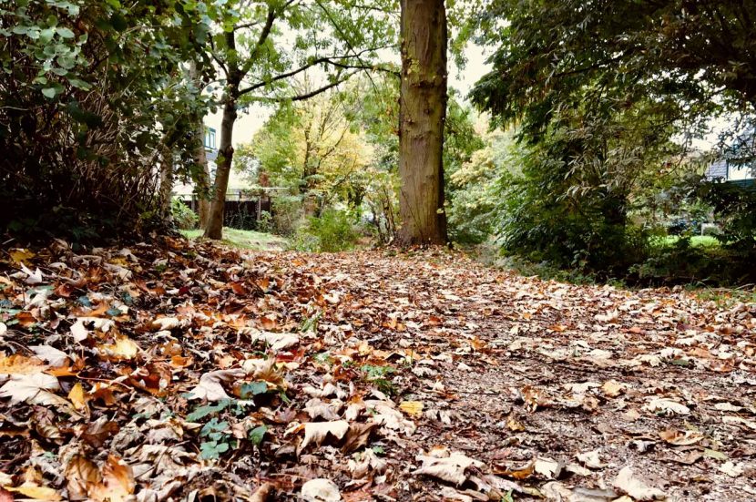 Hardlopen in de herfst over de bladeren