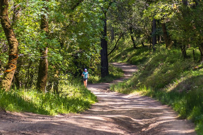 Hardlopen in het bos