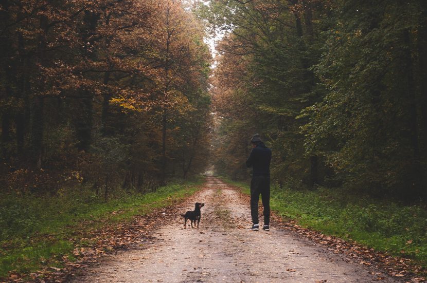 Hardlopen met je hond