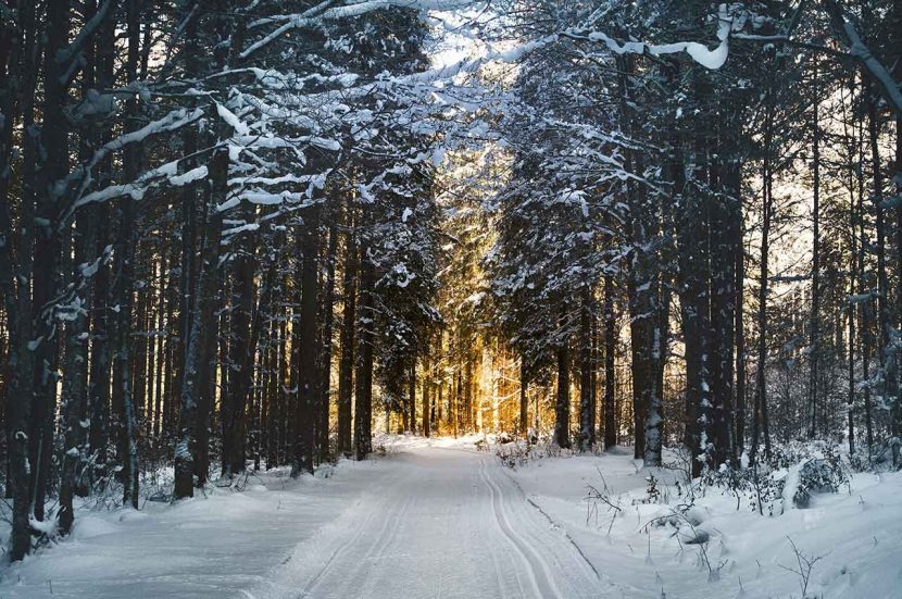 Hardlopen tijdens de feestdagen over besneeuwd pad