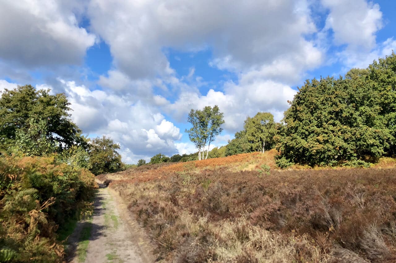 Herkenbosch Trail