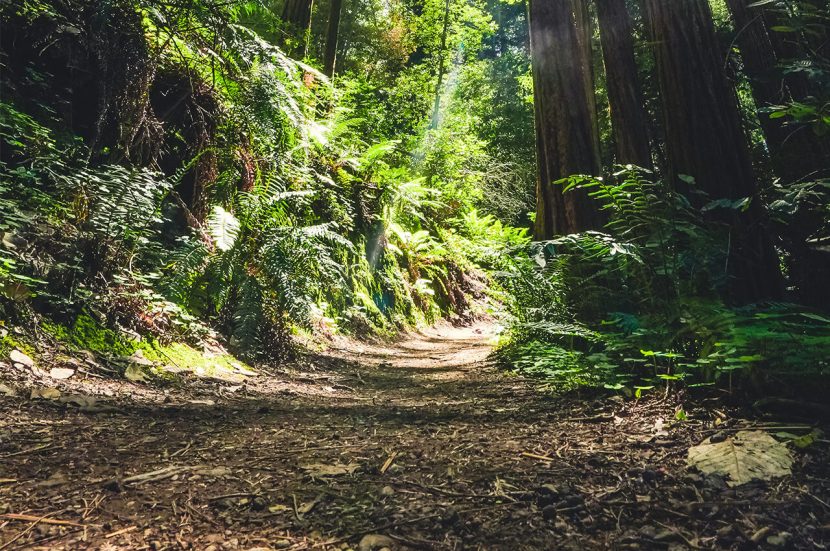 Hoe overleef ik een ultramarathon?