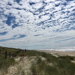 Hollands Duin Trail - Trailruns 2020