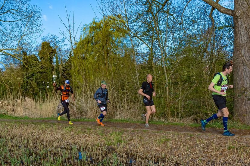 Trailrun verslag van de Houttrail 35 kilometer 2025