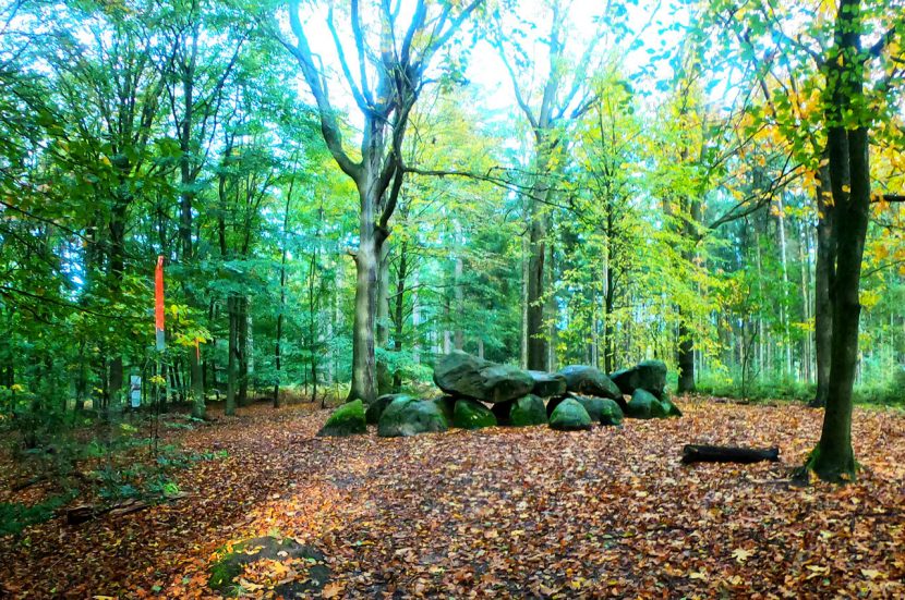 Maandverslag van oktober 2019