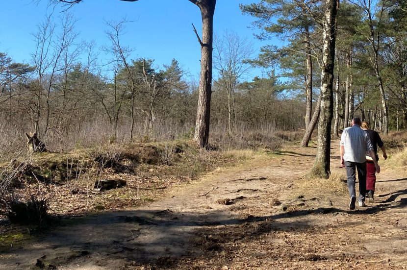 Wandelroute Kaapse Bossen in Utrechtse Heuvelrug
