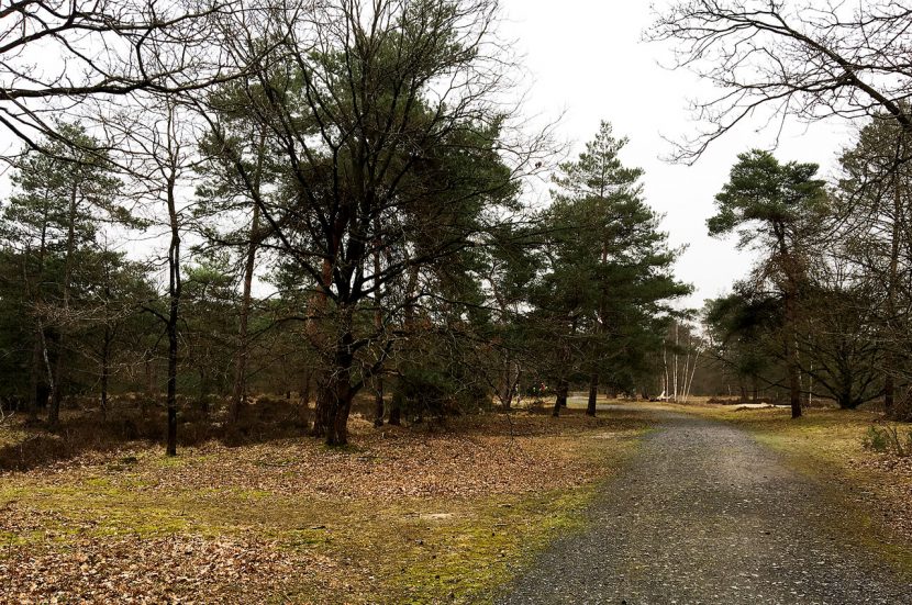 marathon dagboek 5 - wanneer komen de wedstrijdkriebels?