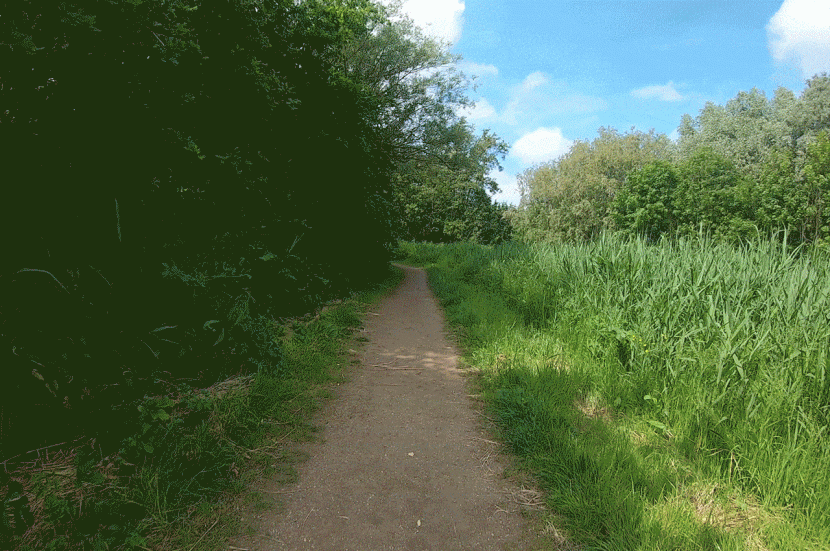 mijn trailrun avonturen op beeld