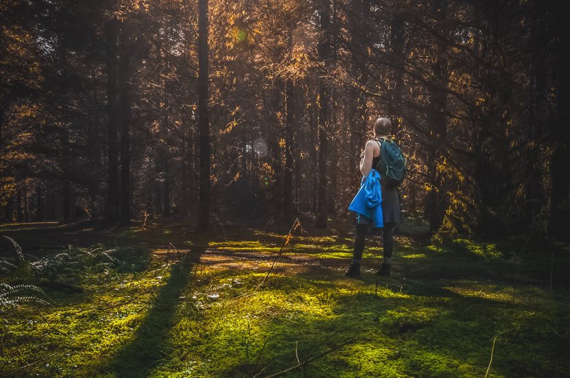 Wat is mindful wandelen?