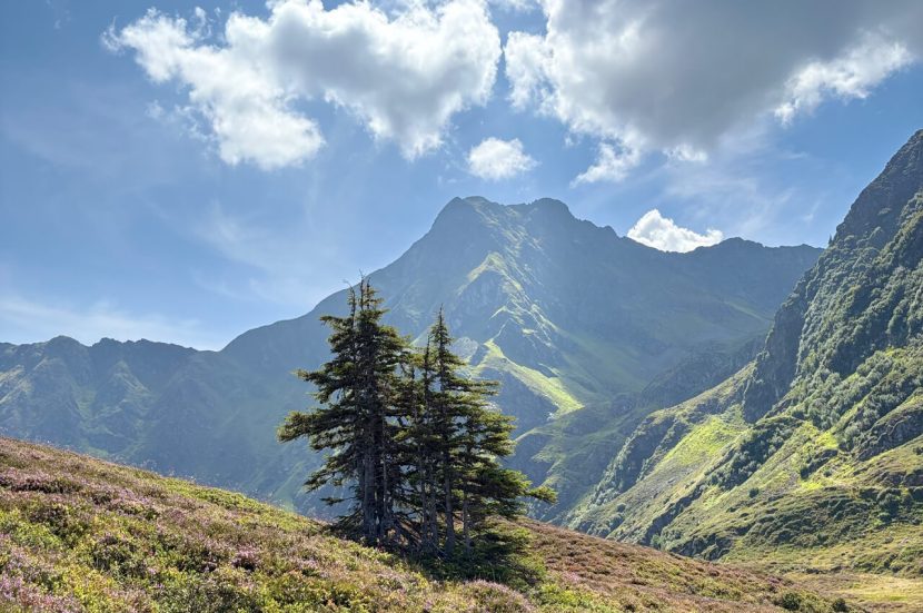 Verslag van reis naar Oostenrijk deel 2 in Montafon