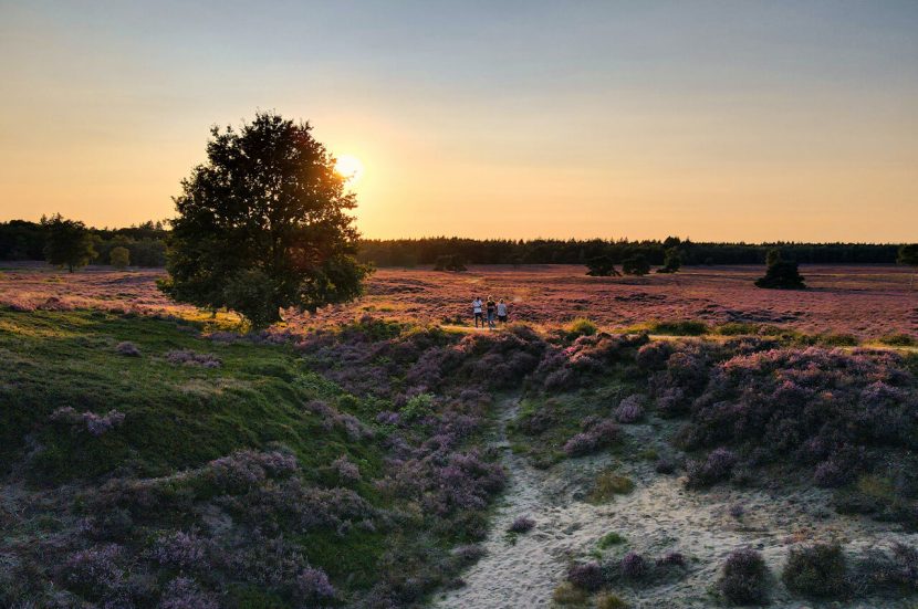Populaire wandelbestemmingen en wandelroutes in Nederland