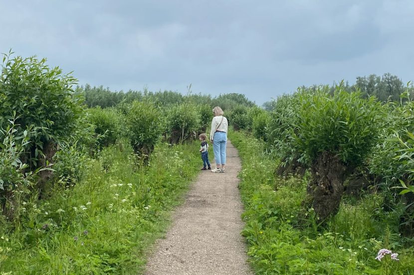 Wandelroute in de Rhoonse Grienden