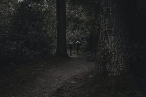 trailrunnen in het donker