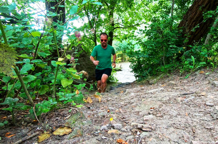 Trailrunnen in Zuid-Holland