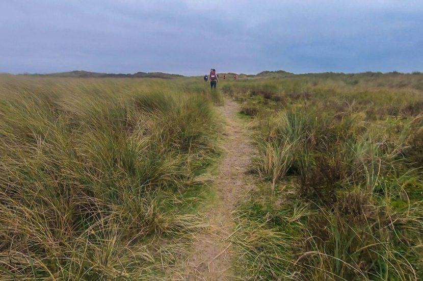 Het trailrunverslag van de Hollands Duin Trail 20 kilometer