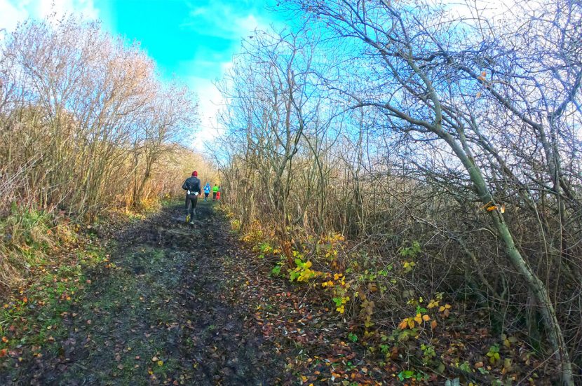 Trainen voor een trailrun