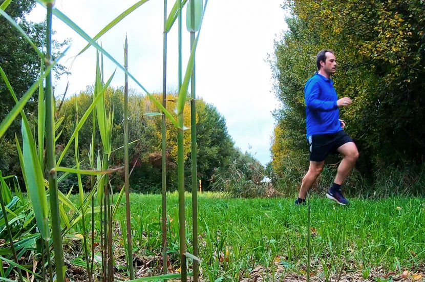 Trainen voor je eerste trailrun