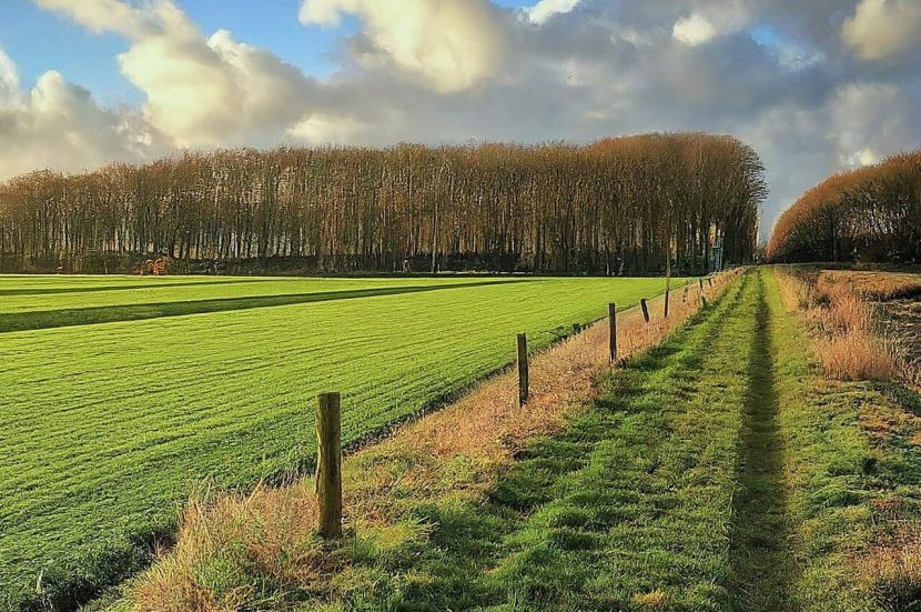 Het Trekvogelpad in Nederland voor schitterende wandelingen