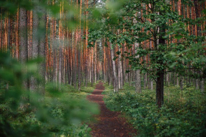 Kan je nog veilig trailrunnen?