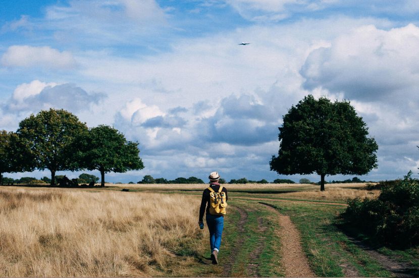 Wandelen in de zomer in Nederland