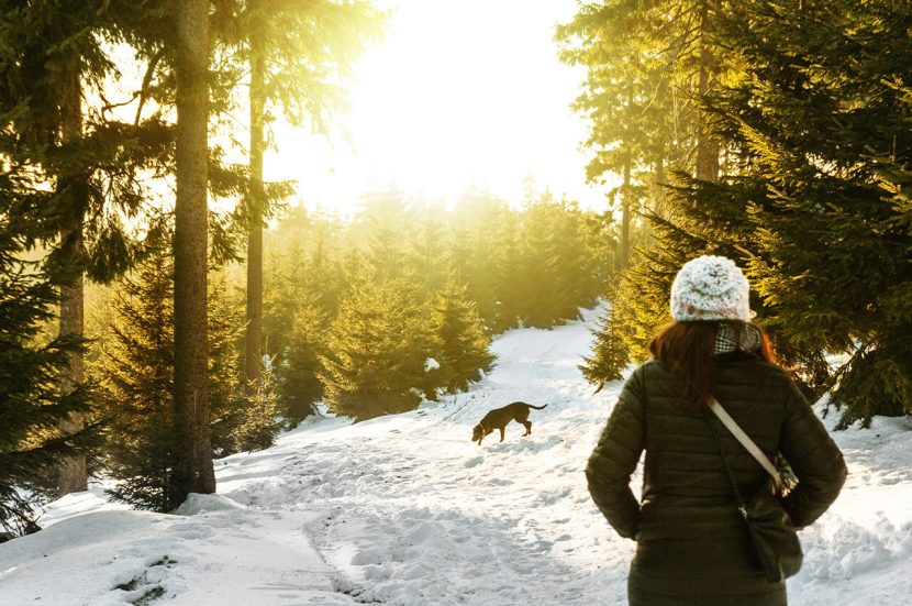wandelen om te ontspannen tijdens de feestdagen