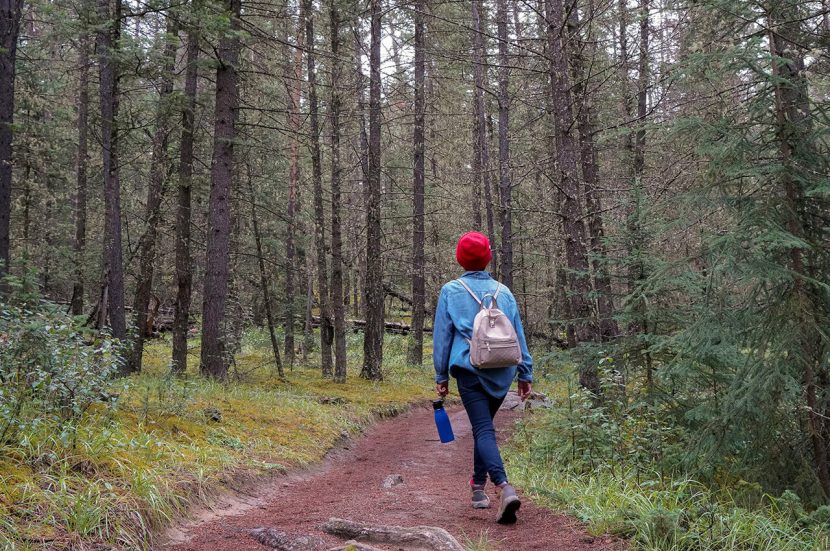 Wandelen op verschillende ondergronden: Van boswandelingen tot stadsverkenningen