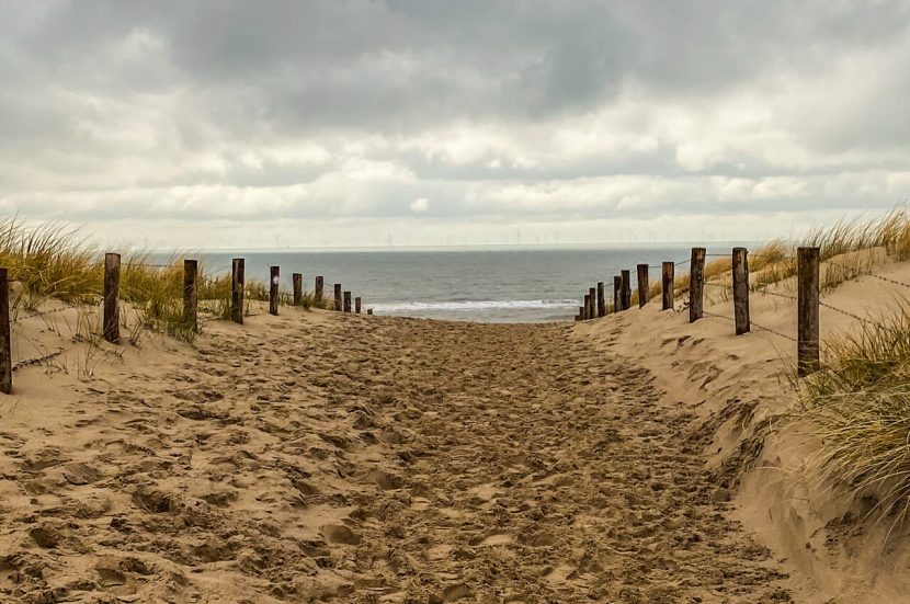 Wandelroute Duinroos in Katwijk