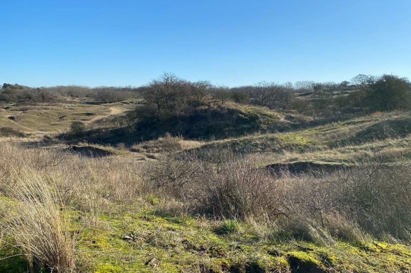 Wandelroutes natuurgebied Meijendel in Wassenaar (Zuid-Holland)
