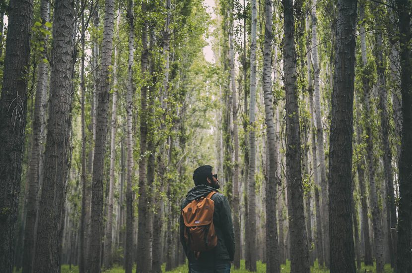 Wat is hiking en alles wat je moet weten over deze outdoor activiteit