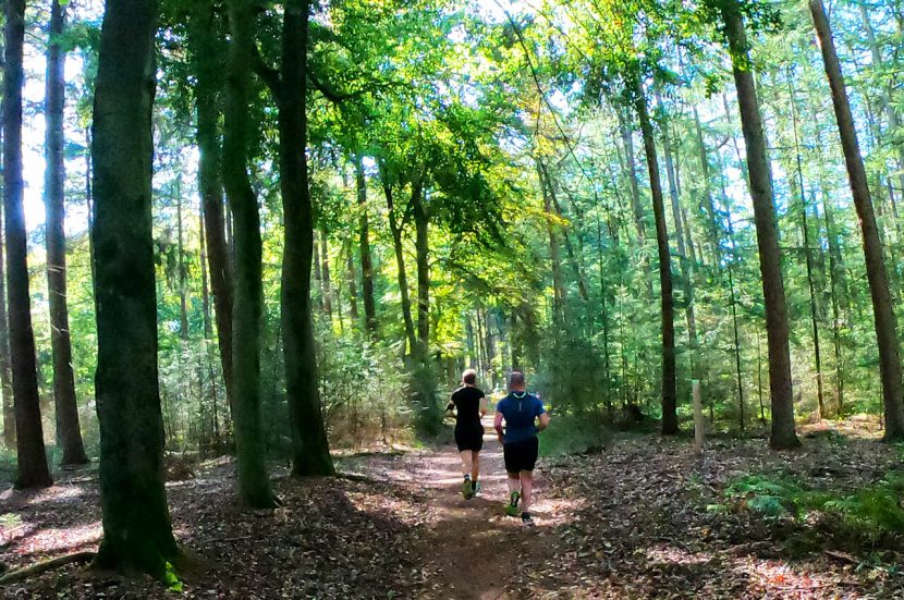 Het wedstrijdverslag van de Smokkelaarstrail 2019