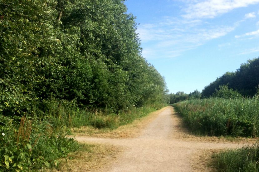Stuk route van de Tom Optiekloop
