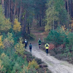 Zandenbos Trail - Trail kalender 2020