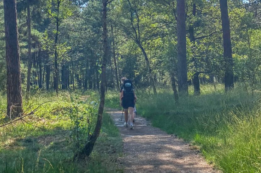 Wandelroute Zuid Huis ter Heide